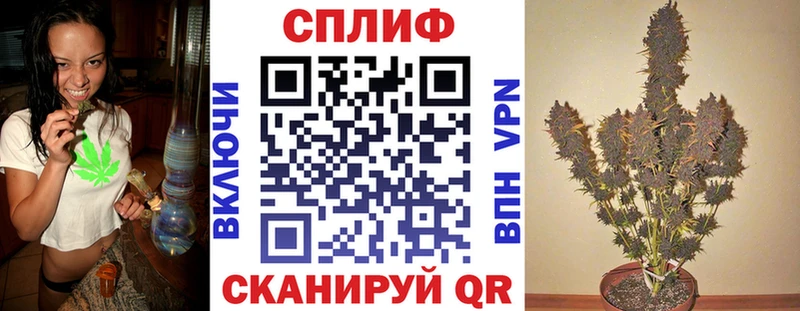 Конопля индика  Шенкурск 
